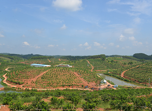 基地環(huán)境