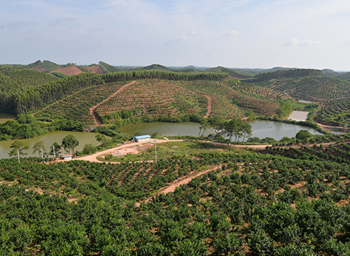 基地環(huán)境