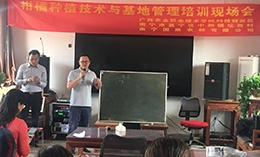 公司聯(lián)合廣西農(nóng)職院科技特派員開(kāi)展柑橘種植科技示范培訓(xùn)